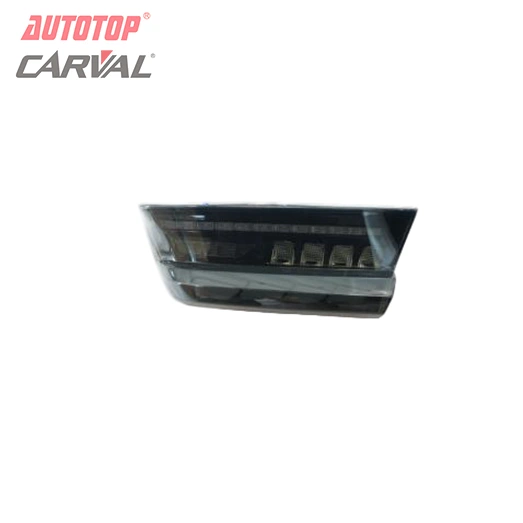 Dragon Scale afturljós fyrir BMW New 3 Series G20/G28